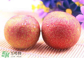 紅心李子孕婦可以吃嗎？紅心李子營(yíng)養(yǎng)價(jià)值