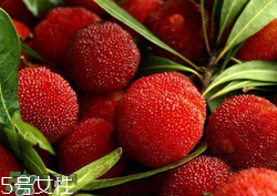 ?楊梅和李子能一起吃嗎？楊梅和李子一起吃會(huì)中毒嗎？