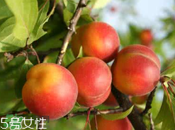 ?楊梅和李子能一起吃嗎？楊梅和李子一起吃會(huì)中毒嗎？
