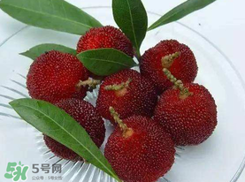 楊梅籽可以吃嗎？吃楊梅籽有什么好處？