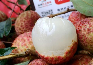 白糖罌荔枝怎樣保果的？白糖罌荔枝和白蠟的區(qū)別