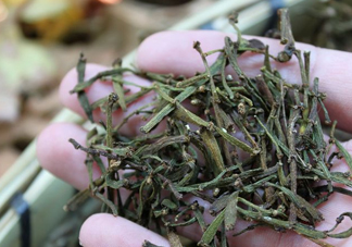 螃蟹腳茶哪些人不能喝？螃蟹腳茶哪些人能喝