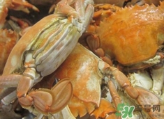 花蓋蟹死了能吃嗎？花蓋蟹死多久之內(nèi)能吃？