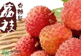 白糖罌荔枝多少錢一斤2017？白糖罌荔枝價格