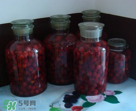 泡楊梅酒用什么瓶子？楊梅酒可以用塑料瓶泡嗎？