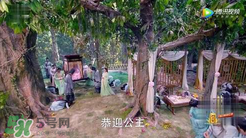 諜紙?zhí)煅酆屯鸂I有什么關(guān)系？
