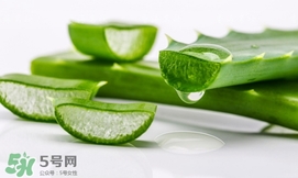 蘆薈面膜要敷多久？蘆薈面膜多久敷一次
