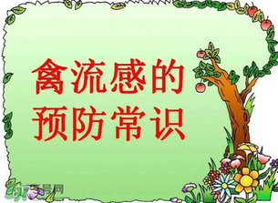 6月有禽流感嗎？2017年6月有禽流感嗎？