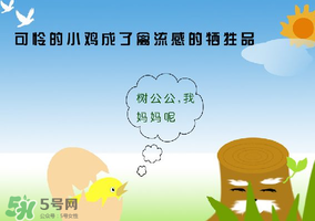 6月有禽流感嗎？2017年6月有禽流感嗎？