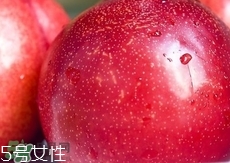 桃駁李是轉基因嗎？桃駁李是不是轉基因