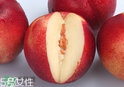 桃駁李是油桃嗎？桃駁李和油桃的區(qū)別