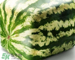 方形西瓜是如何種出來(lái)的？方形西瓜是怎么長(zhǎng)成的