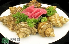 海螺是蒸還是煮？海螺的尾部是黃還是屎