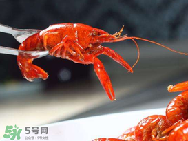潛江小龍蝦有什么特色？潛江龍蝦節(jié)是每年什么時候？ 