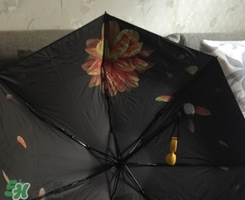 蕉下小黑傘能遮雨嗎？蕉下太陽傘能淋雨嗎？