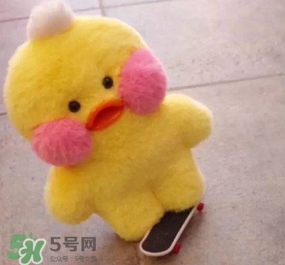 玻尿酸鴨哪里可以買到？一個(gè)玻尿酸鴨多少錢？