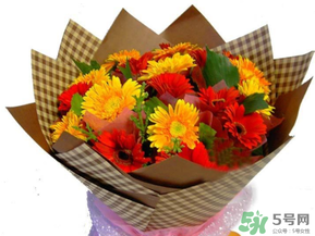 父親節(jié)可以送花嗎？父親節(jié)送什么花最合適？