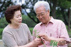 糖尿病是怎么引起的？糖尿病是遺傳病嗎