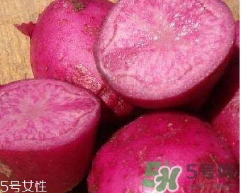 紅土豆是轉(zhuǎn)基因的嗎？紅土豆和正常土豆的區(qū)別