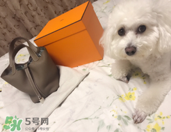 菜籃子包是什么牌子？菜籃子包是哪個品牌的？