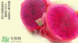 紅心火龍果對(duì)人體有哪些好處？紅心火龍果的禁忌