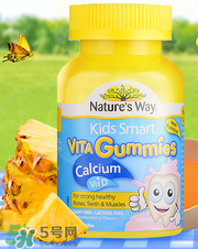 Nature's Way好嗎 Nature's Way保健品怎么樣？