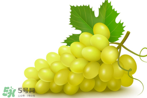 葡萄多少錢(qián)一斤？葡萄多少錢(qián)一斤2017？