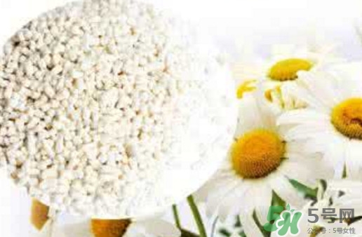 菊花晶是熱性還是涼性？菊花晶嬰兒可以喝嗎？