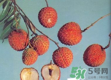 糯米糍荔枝產(chǎn)地是哪里？糯米糍荔枝上火嗎