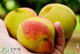 九仙桃什么時(shí)候成熟？九仙桃什么時(shí)候上市