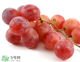 提子上的白色是什么？提子外面白色的是什么？