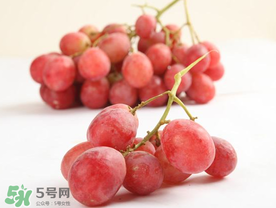 提子上的白色是什么？提子外面白色的是什么？