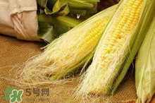 玉米須水什么人不能喝？玉米須煮水小孩能喝嗎？