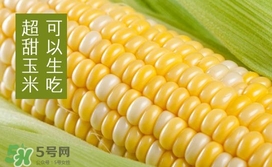 水果玉米是轉基因的嗎？水果玉米可以生吃嗎