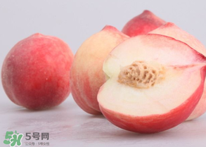 水蜜桃可以和酸奶一起吃嗎？水蜜桃酸奶的做法