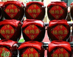 楊梅酒可以帶上高鐵嗎？楊梅酒可以帶上火車嗎？