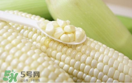 糯玉米是轉(zhuǎn)基因嗎？糯玉米是不是轉(zhuǎn)基因