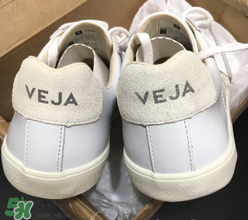 veja鞋碼偏大嗎？veja鞋子鞋碼準嗎？