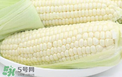 水果玉米多少錢一斤2017？水果玉米市場(chǎng)價(jià)格
