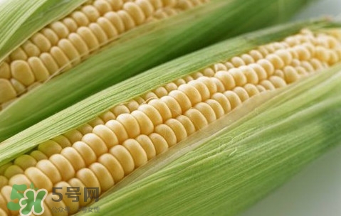 水果玉米熱量高嗎？一根水果玉米的熱量是多少