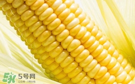 水果玉米是轉基因的嗎？水果玉米可以生吃嗎