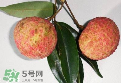 雞嘴荔枝多少錢一斤2017？香山雞嘴荔枝什么價錢