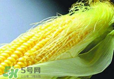 玉米須怎么吃降血糖？玉米須如何降血糖