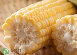 水果玉米多少錢一斤2017？水果玉米市場(chǎng)價(jià)格