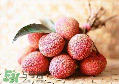 貴妃荔枝是哪里的？貴妃荔枝的產(chǎn)地是哪里