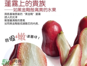 黑金剛蓮霧好吃嗎？黑金剛蓮霧多少錢一斤2017？