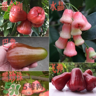 蓮霧什么季節(jié)吃最好？什么品種的蓮霧最好吃