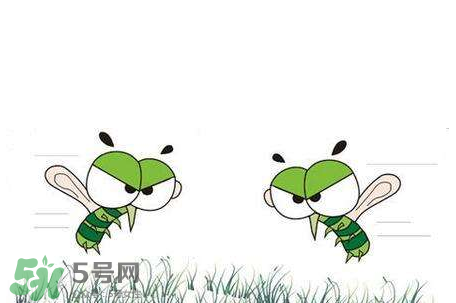 招蚊子是什么原因？招蚊子體質(zhì)怎么辦？