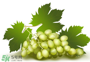 青提不能和什么一起吃？青提哪些人不能吃？