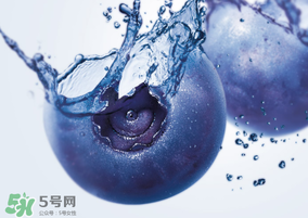 藍莓熱量高嗎？藍莓醬熱量高嗎？